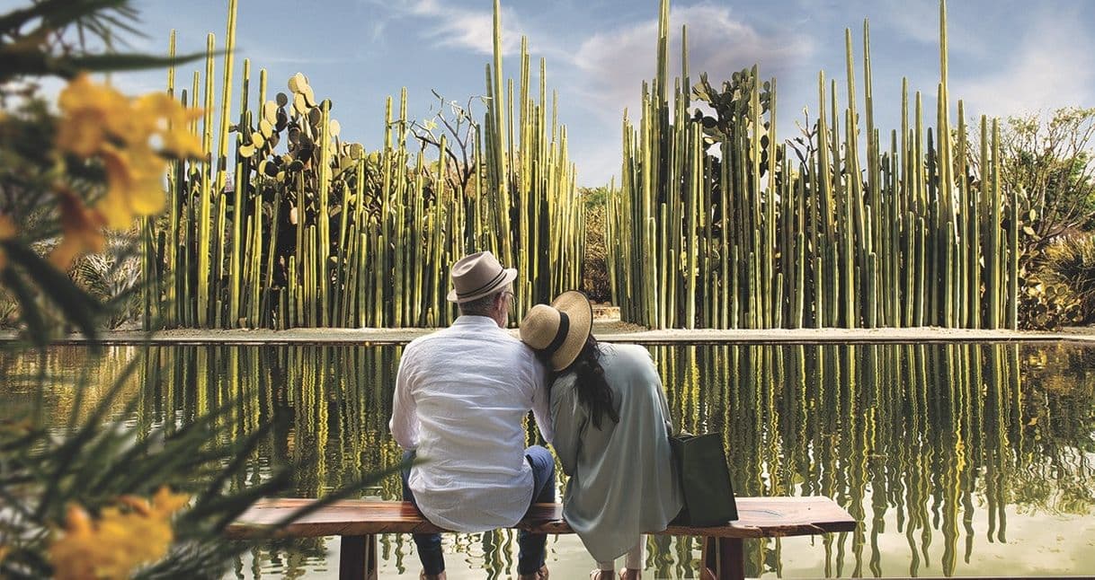 Lugar Jardín Etnobotánico de Oaxaca