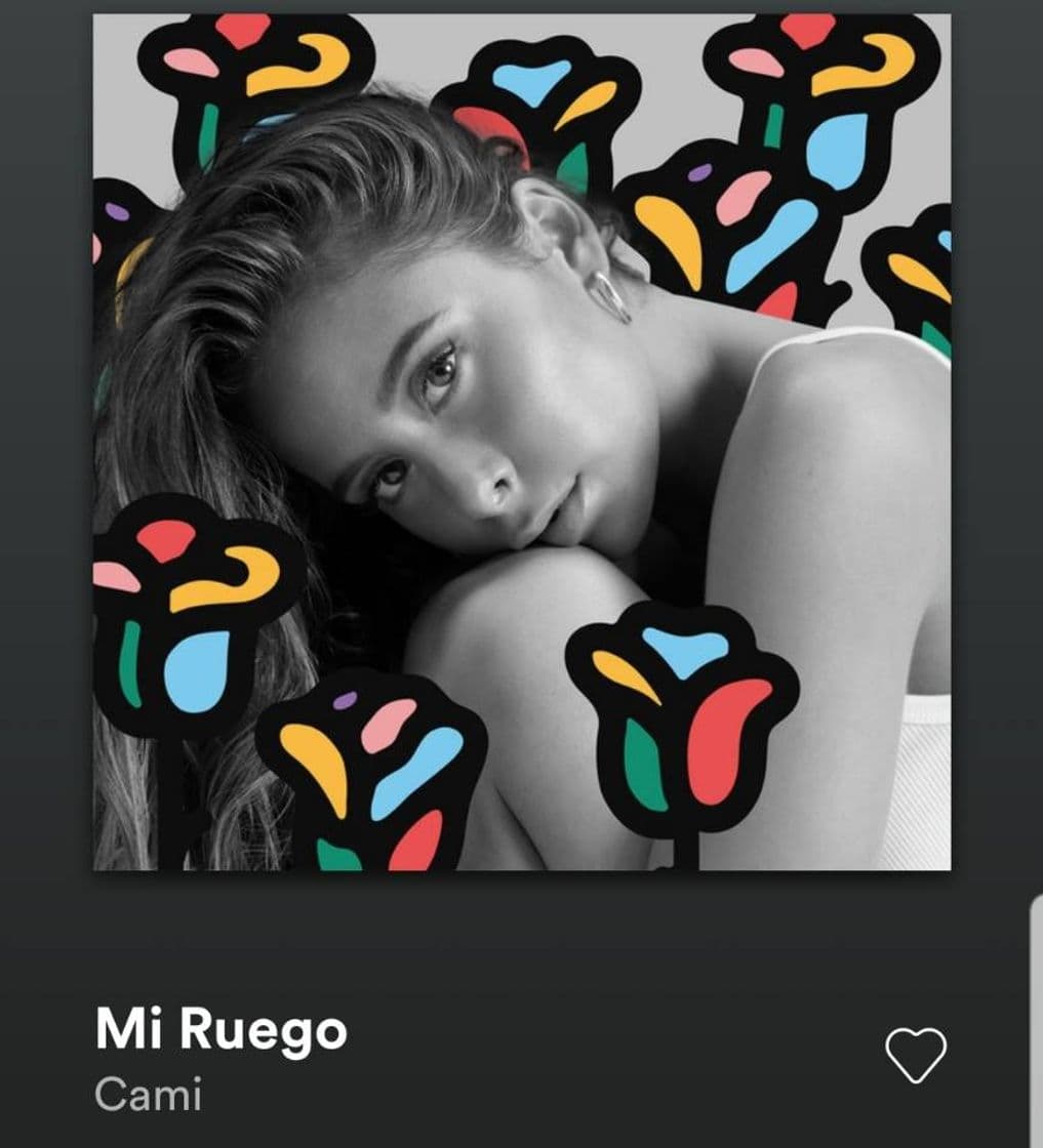 Canción Mi ruego, Cami