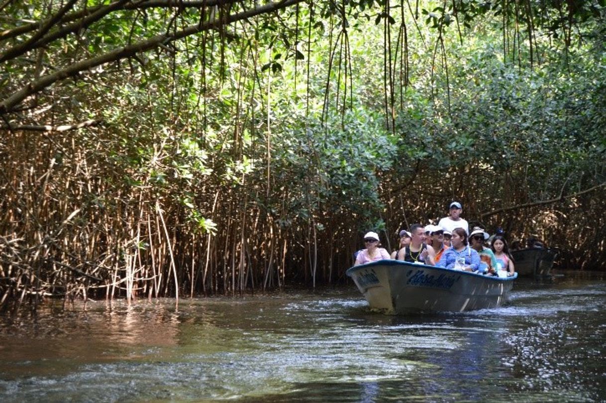 Restaurantes Cocodrilario Kiekari