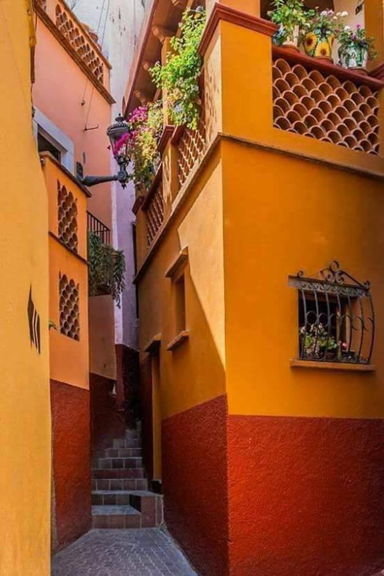 Lugar Guanajuato