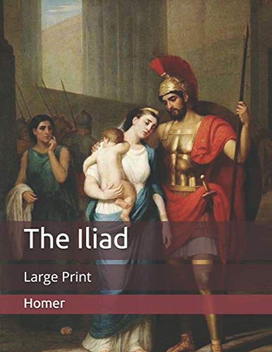 Book The Iliad: Large Print