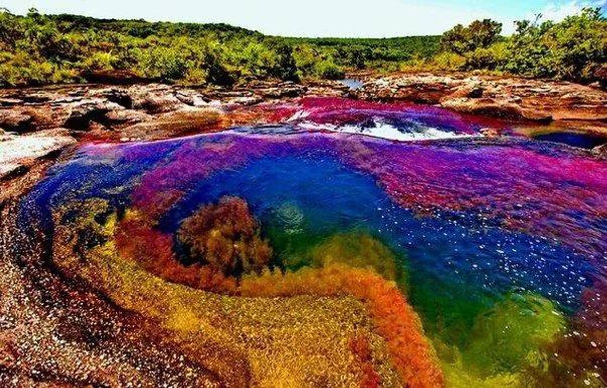 Place Caño Cristales