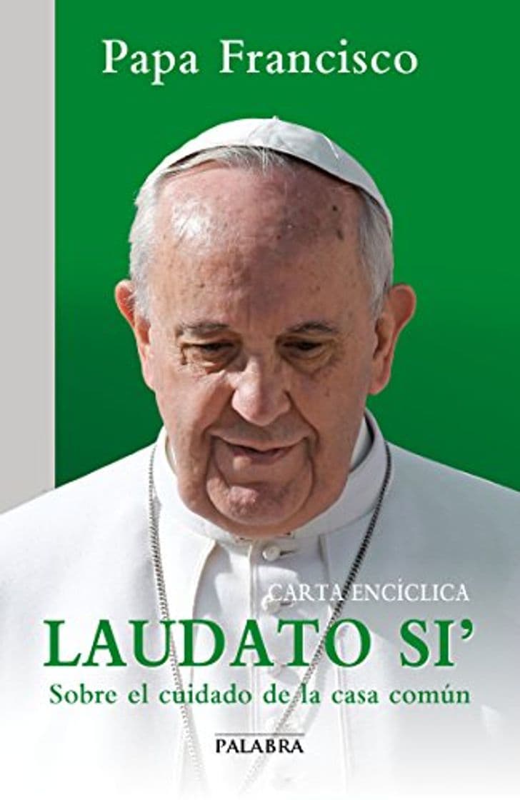 Book Laudato si'. Carta encíclica sobre el cuidado de la casa común