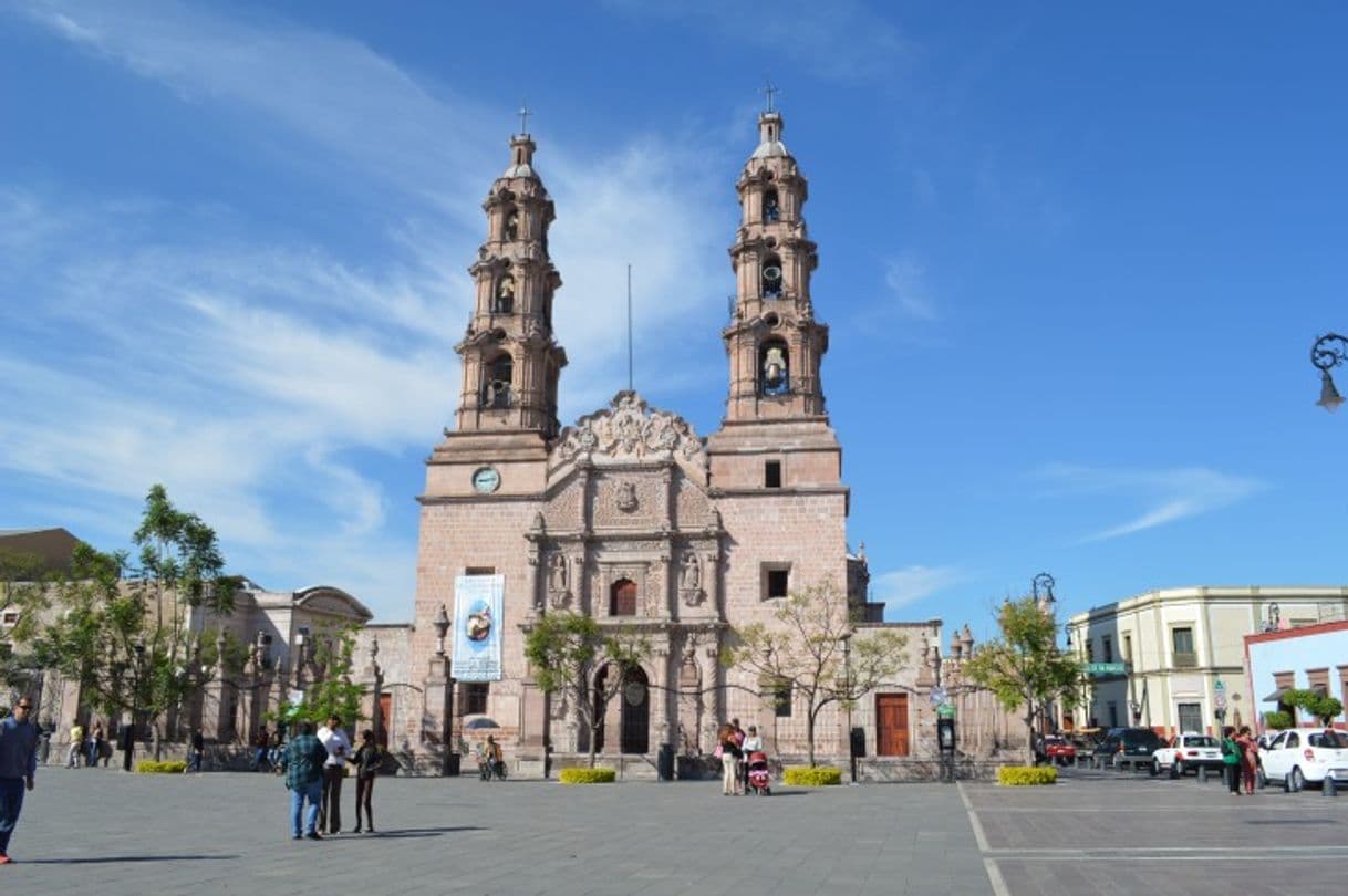 Place Aguascalientes