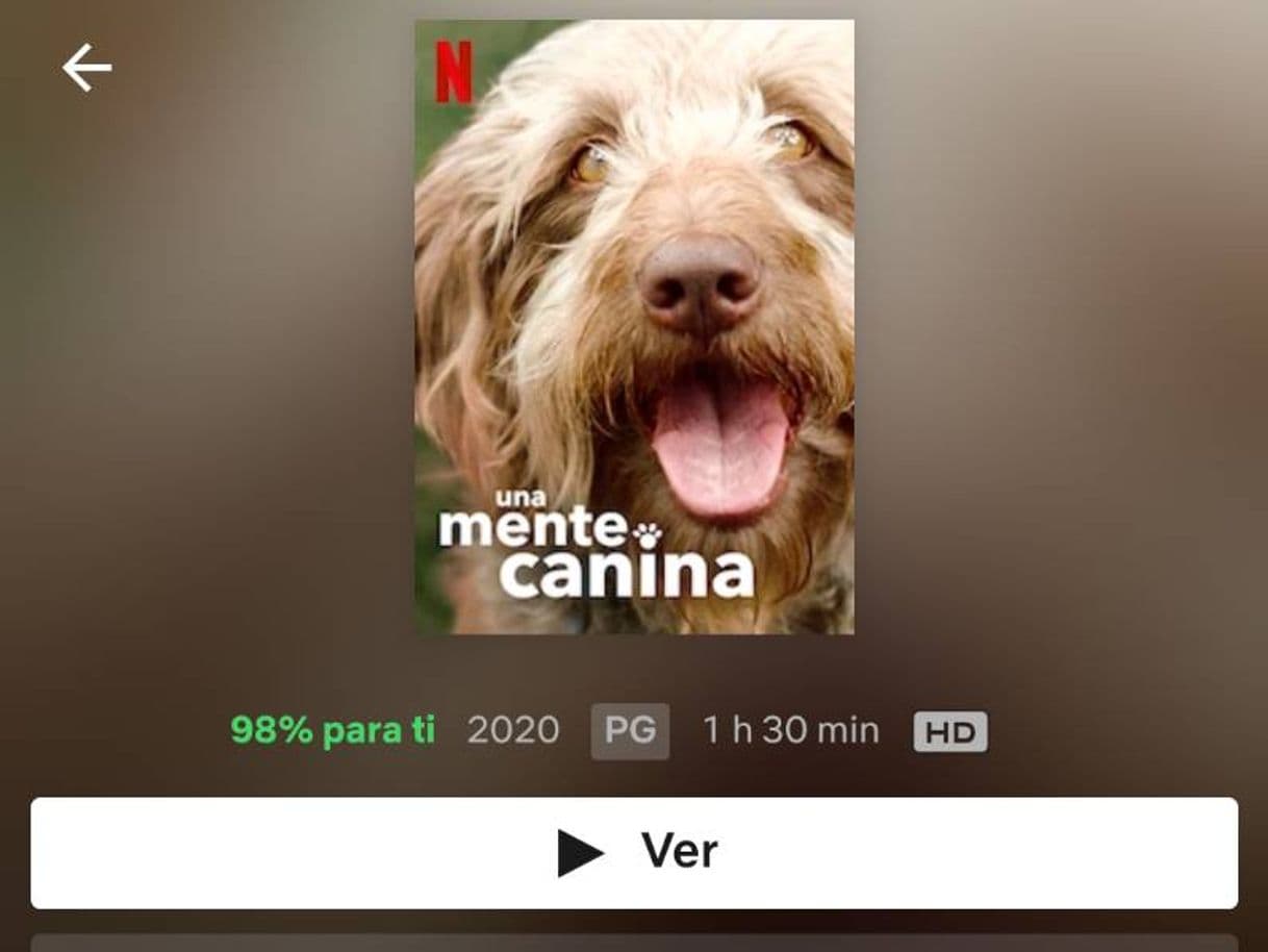 Película Una Mente Canina