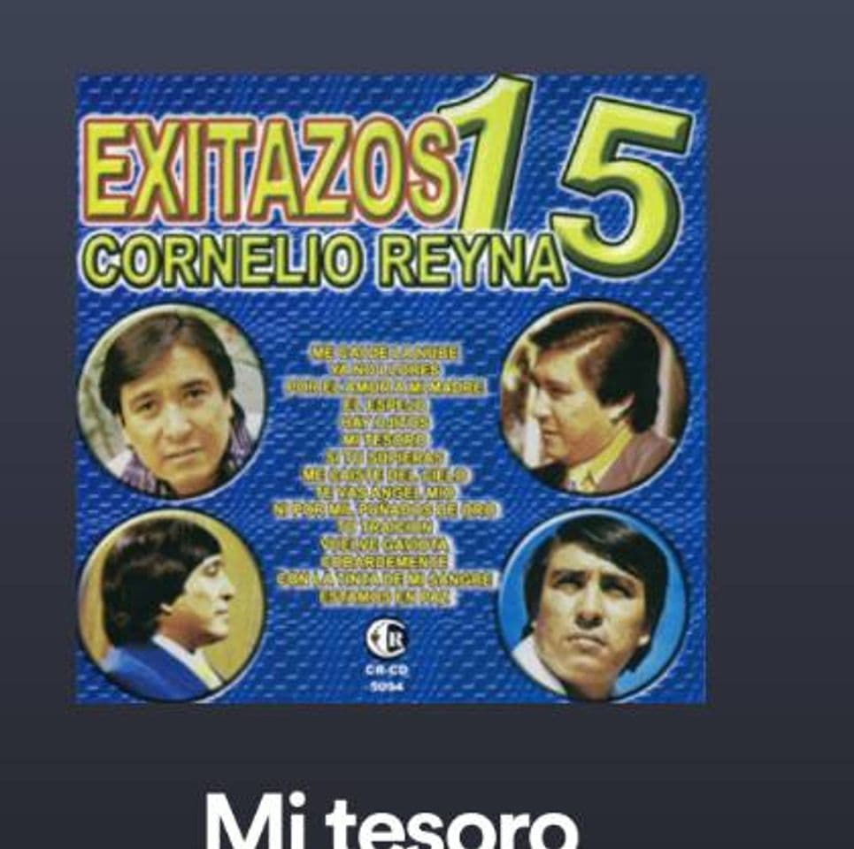 Canción Mi tesoro 