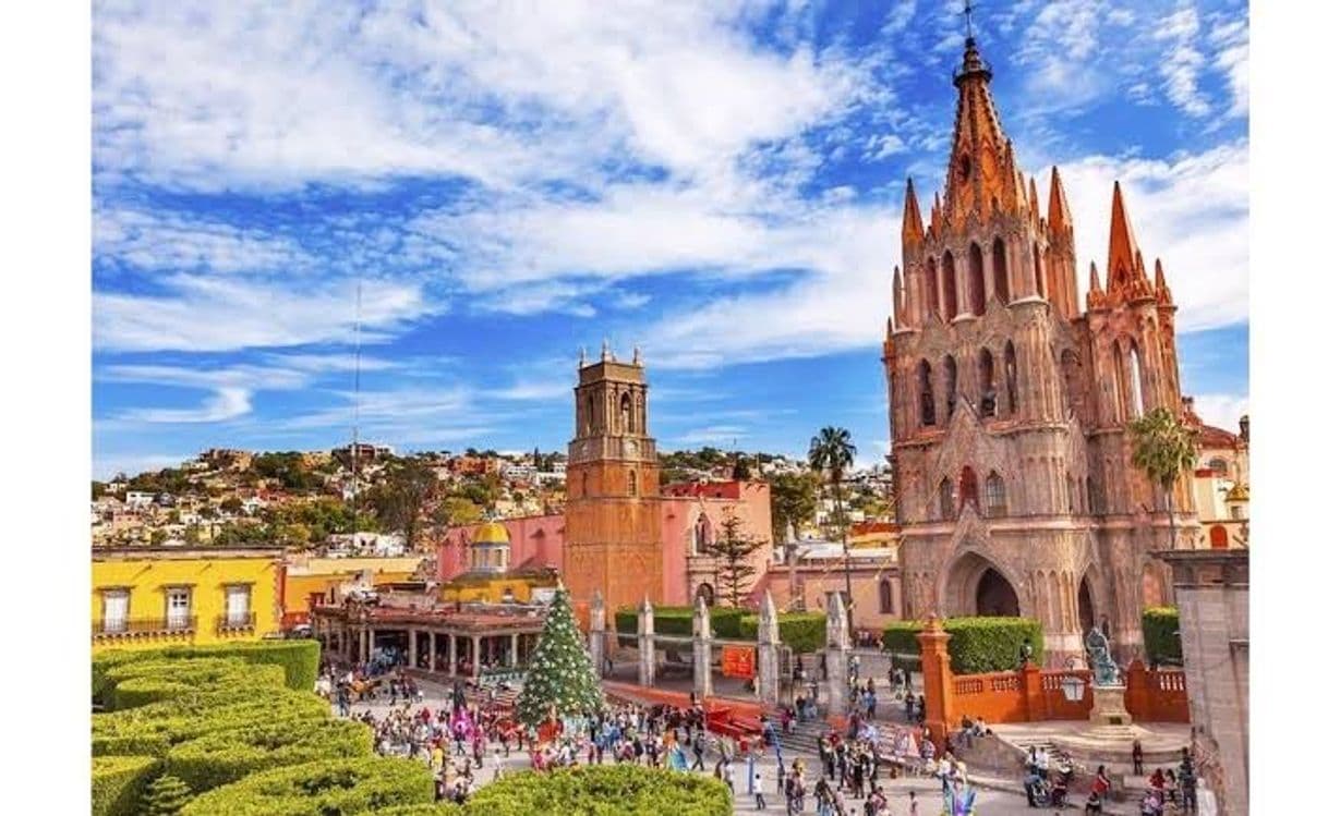 Place San Miguel de Allende