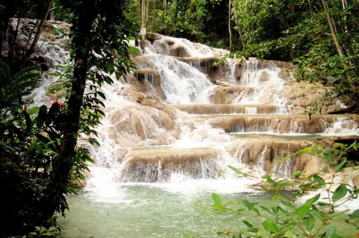 Lugar Dunns River Falls