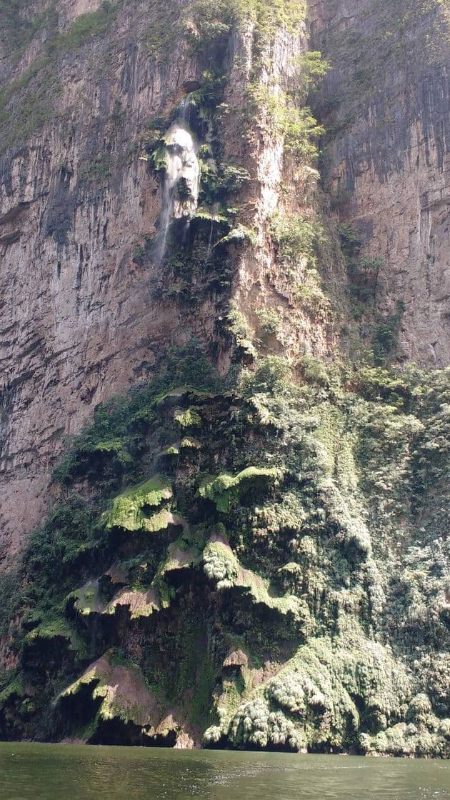 Place Cañon Del Sumidero