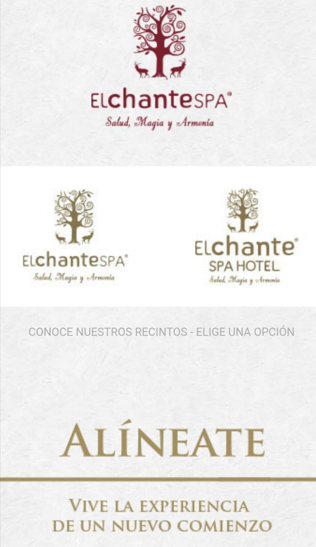 Moda El chante spa 