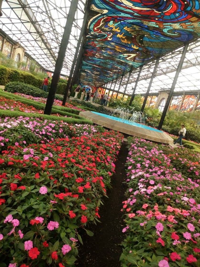 Place Cosmovitral Jardín botánico Toluca