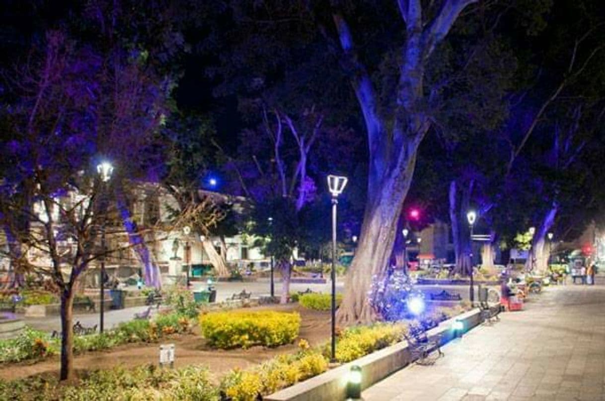 Place Zócalo Oaxaca