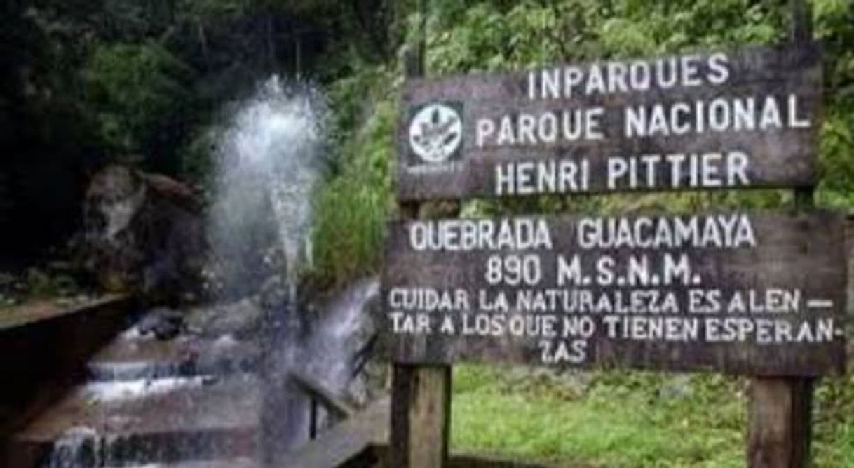 Lugar Parque Nacional Henri Pittier