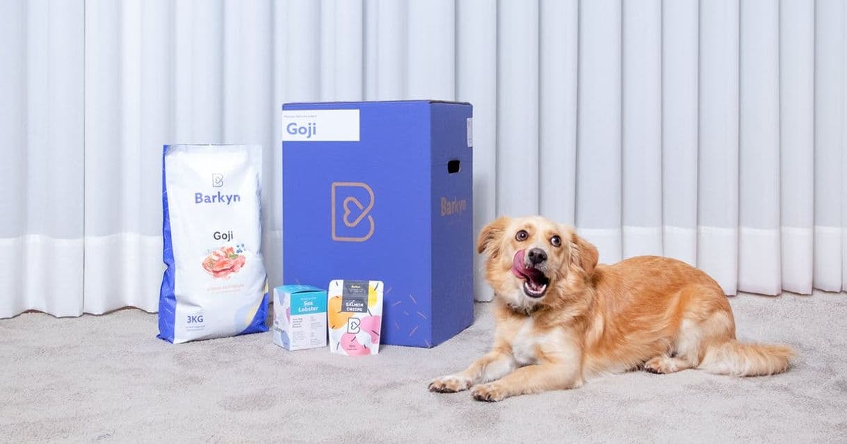 Fashion Barkyn: Pienso y Veterinario para Perros