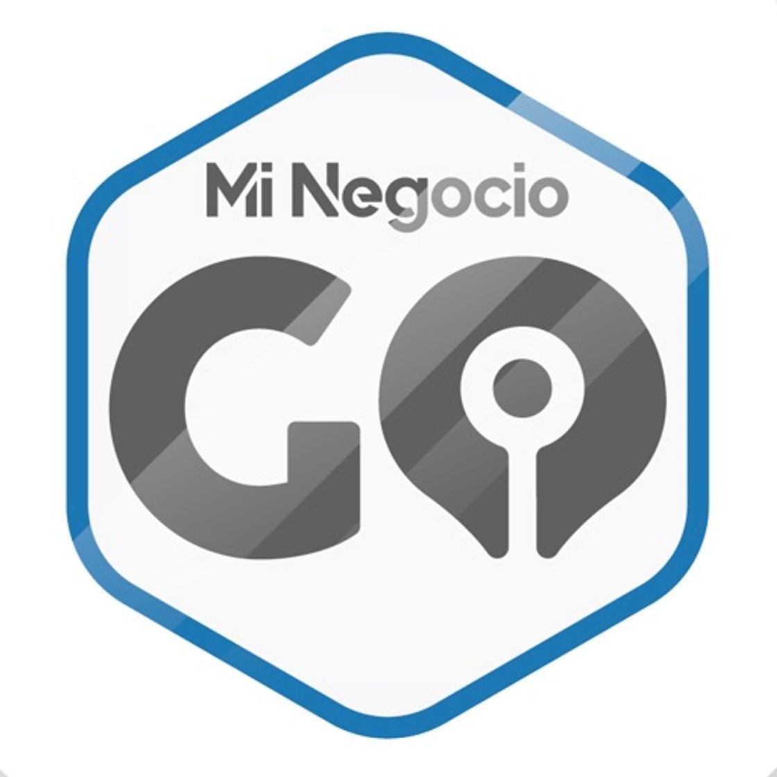 App Mi Negocio GO