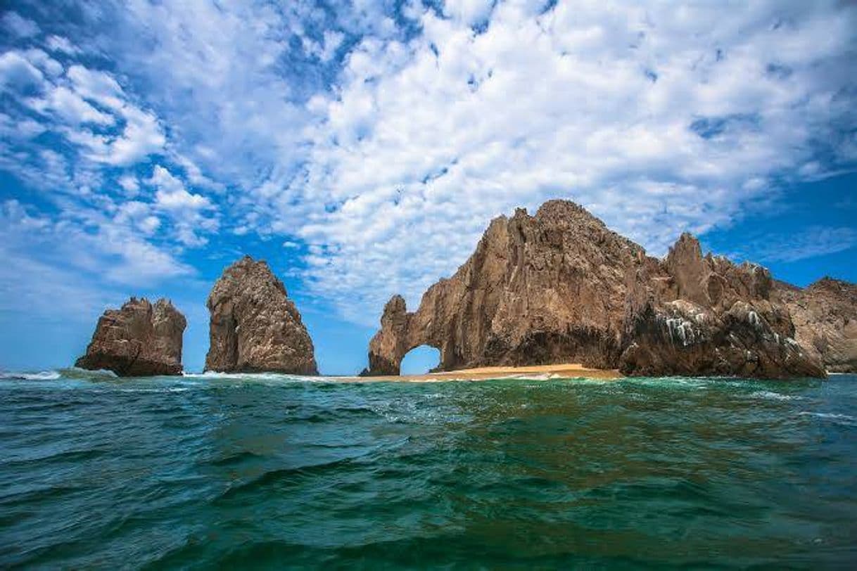 Place Los Cabos