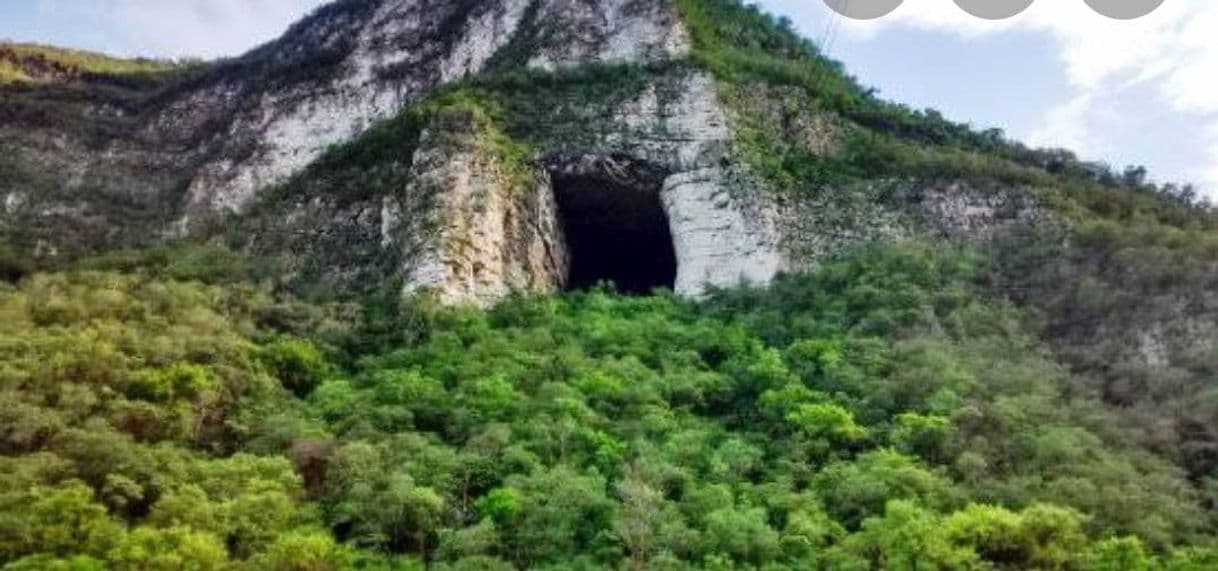 Lugar Cueva De Los Murcielagos