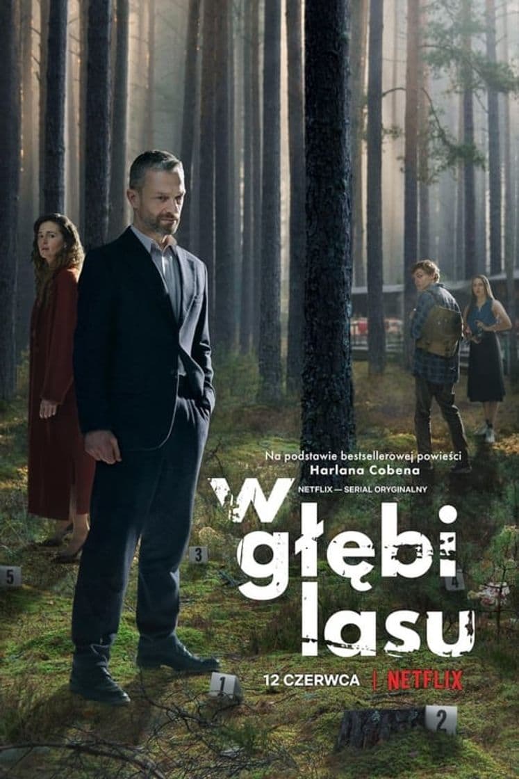 Serie The Woods