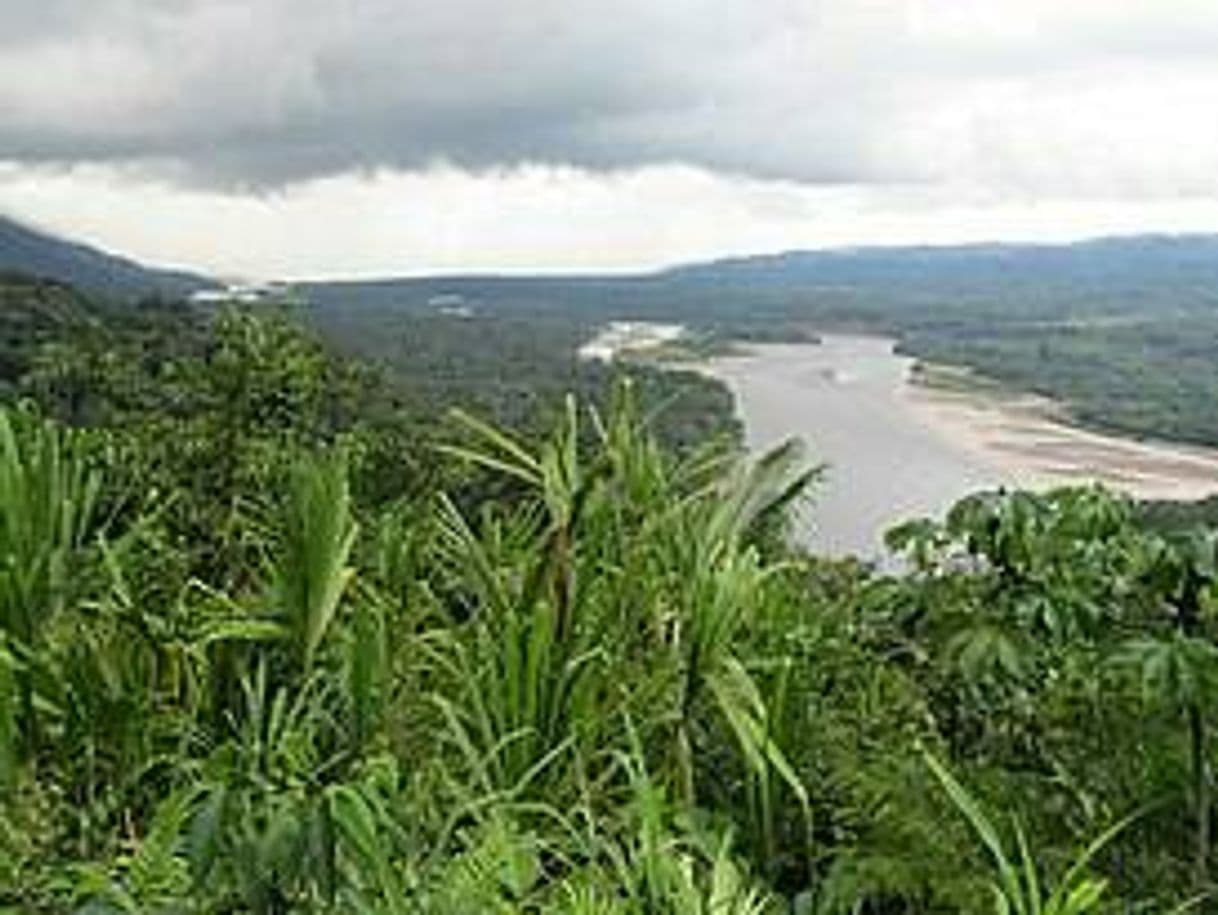 Place Parque Nacional del Manu