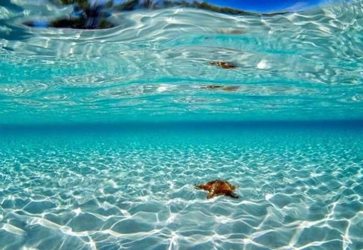 Lugar Snorkel El Cielo Cozumel