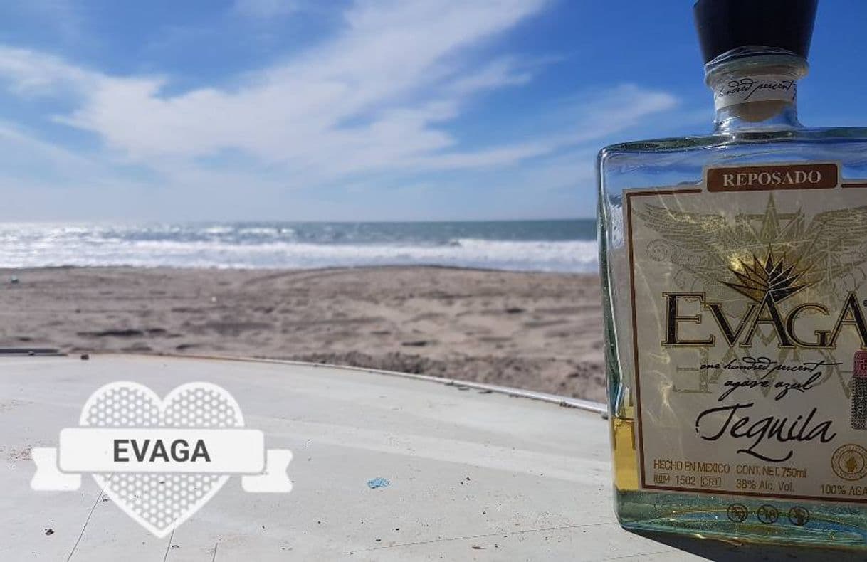 Moda Tequila Evaga 100% mexicano!!!