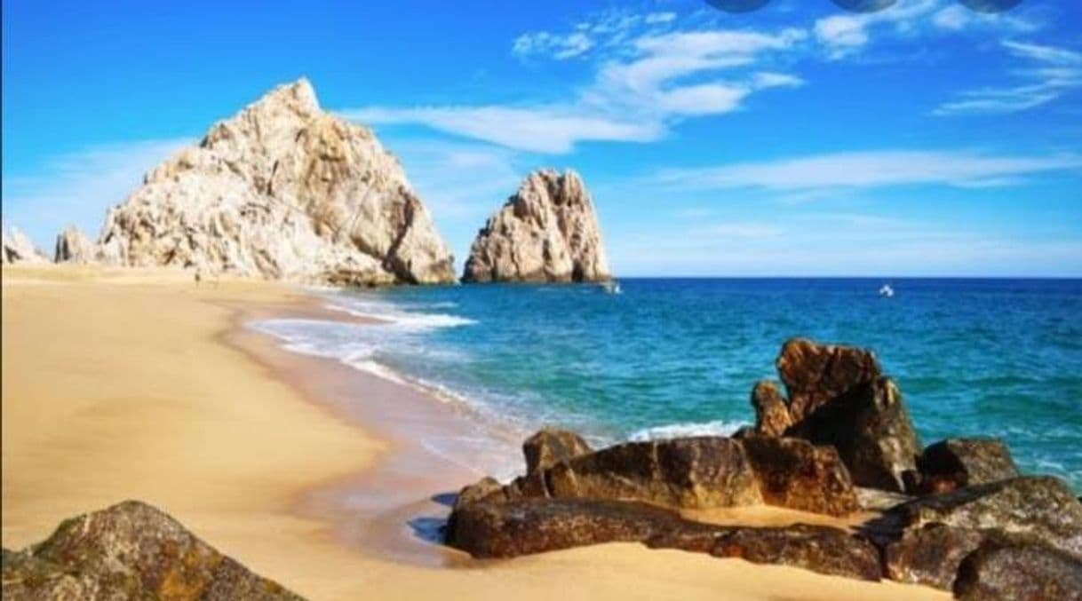 Place Los Cabos