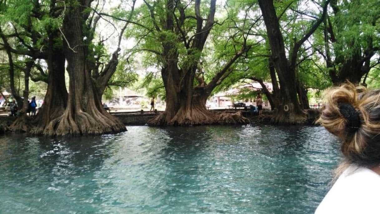 Lugar Lago de Camécuaro