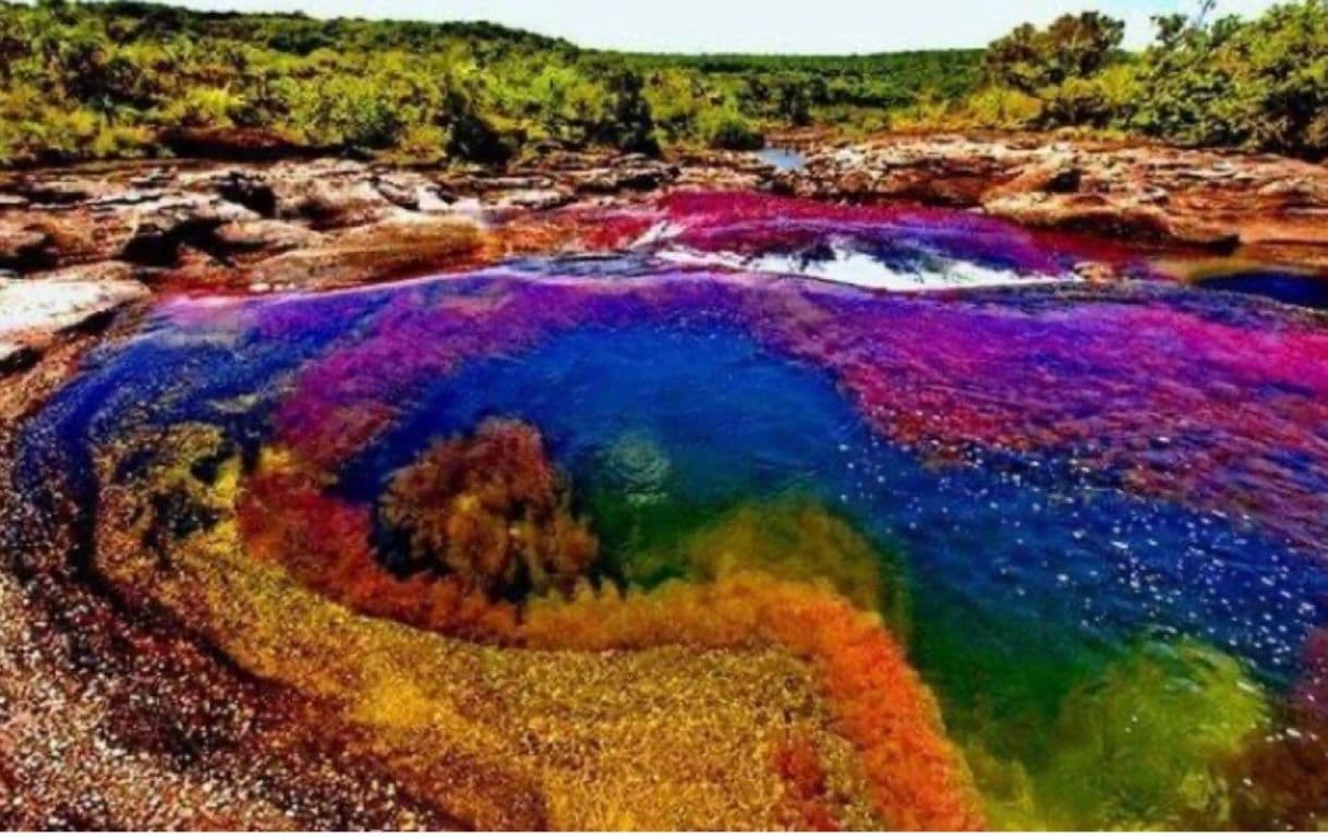 Place Caño Cristales