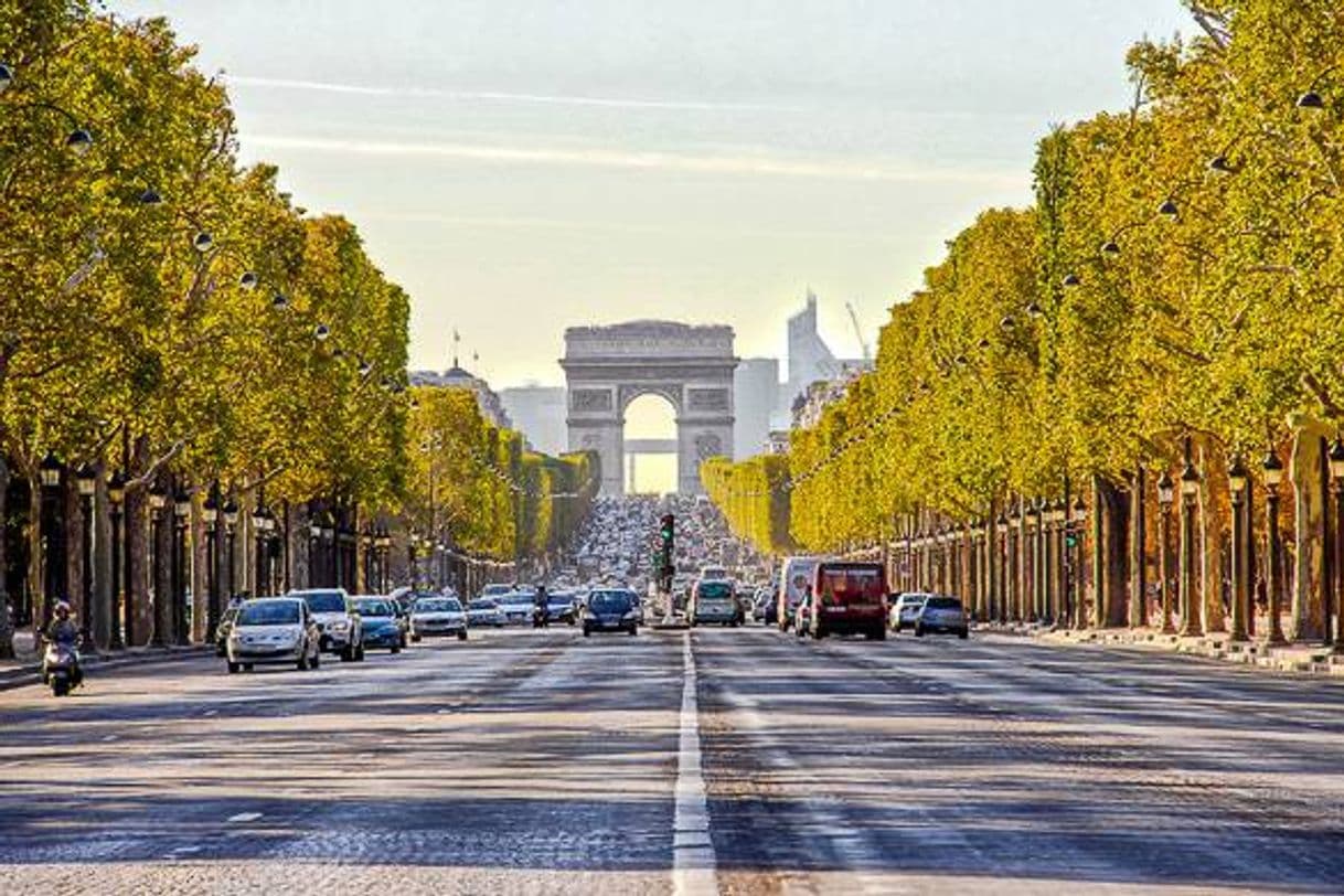 Lugar Avenue des Champs-Élysées