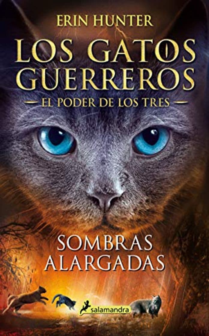 Libro Sombras alargadas (Los Gatos Guerreros