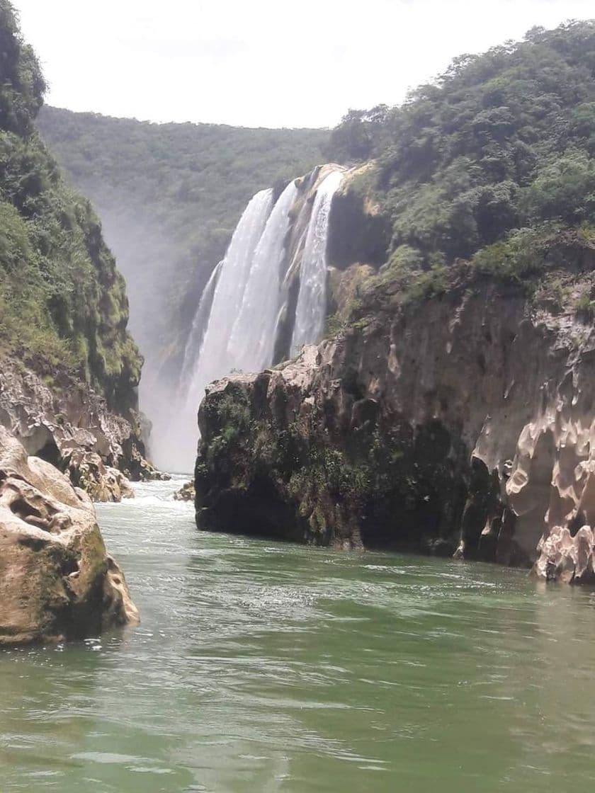 Lugar Cascada de Tamul