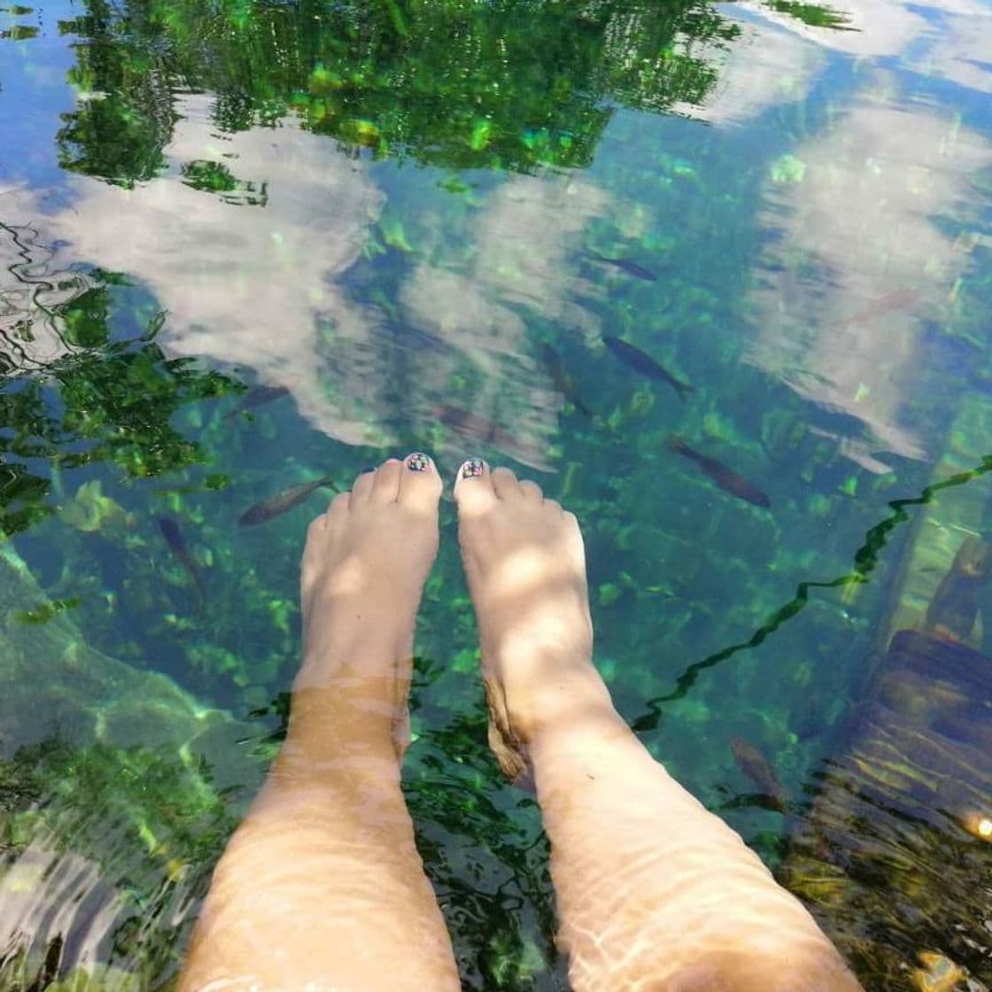 Lugar Cenote Escondido