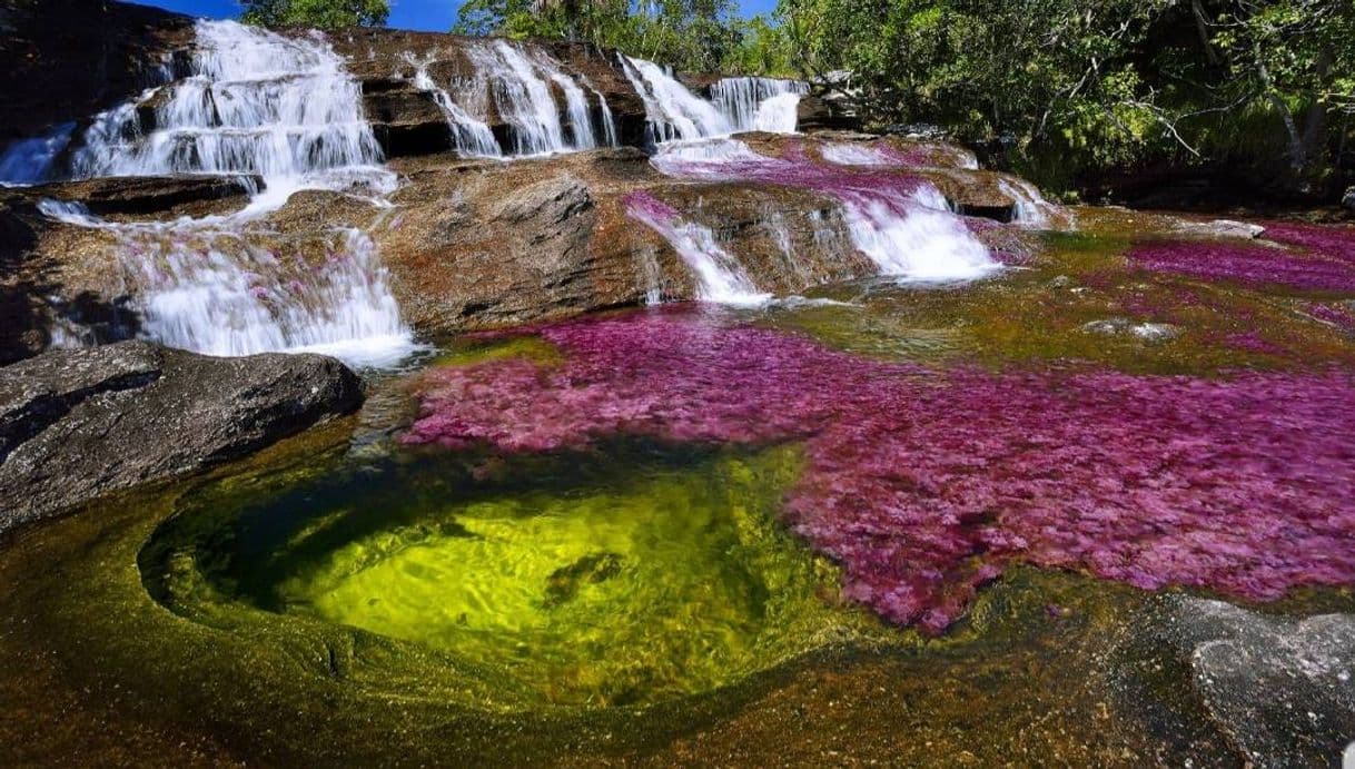 Place Caño Cristales