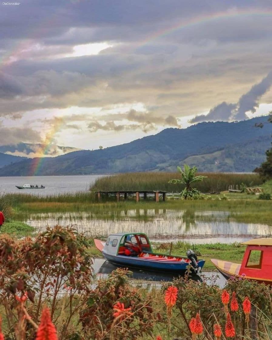 Place Laguna De La Cocha