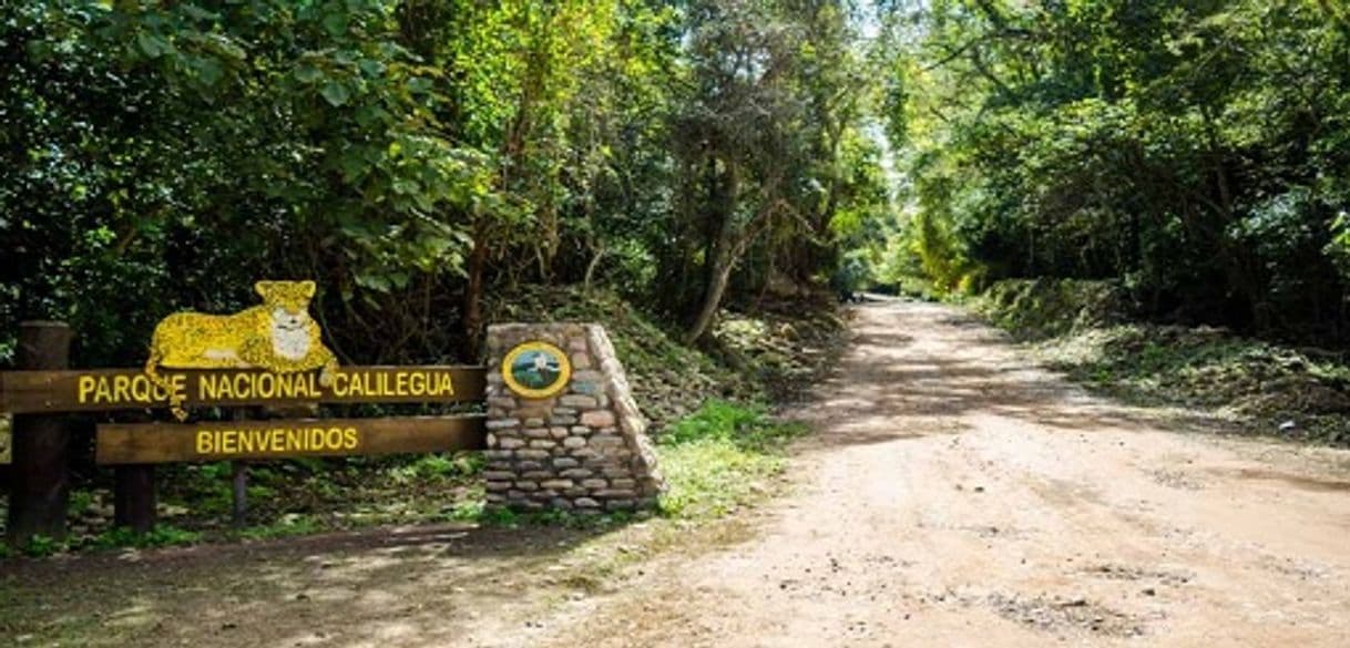 Place Parque Nacional Calilegua (Intendencia)