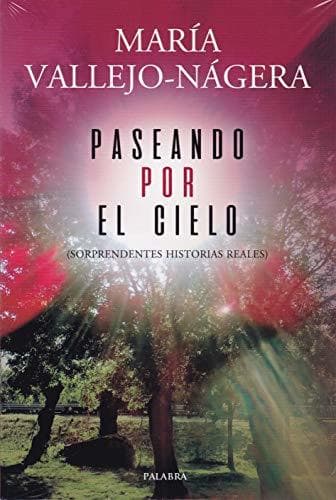 Libro Paseando por el cielo