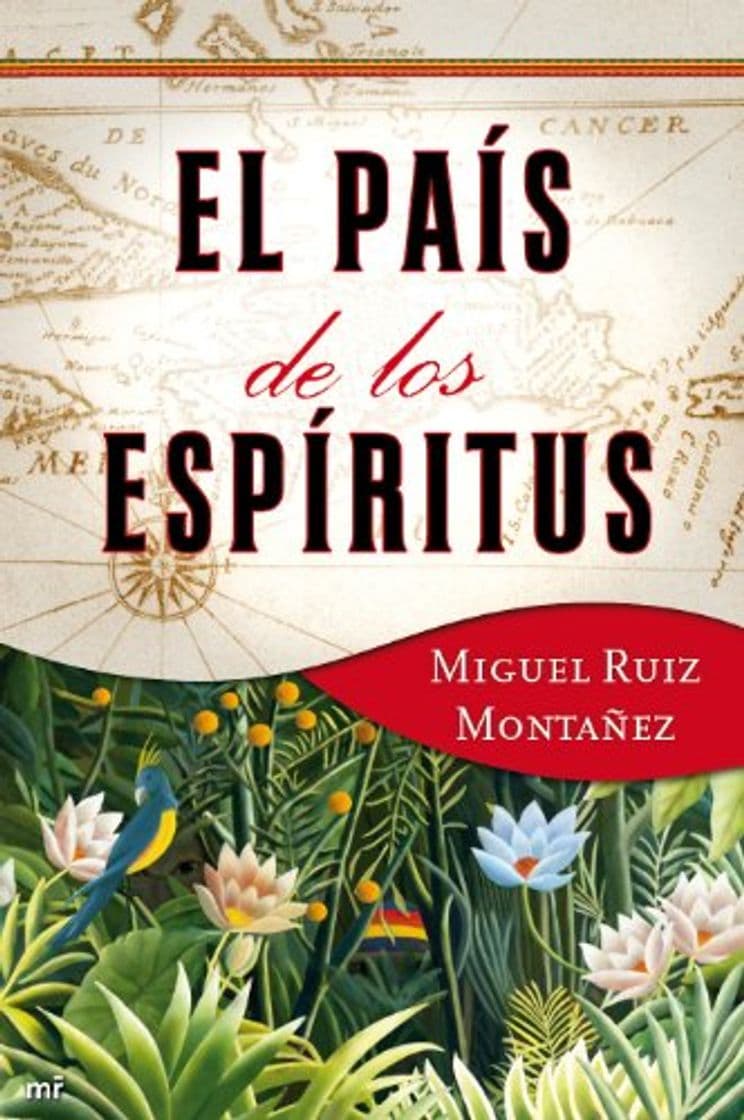 Book El país de los espíritus