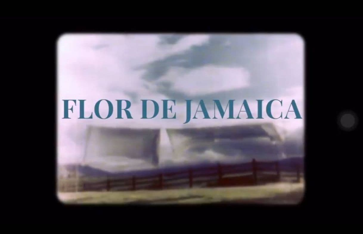 Moda Flor de Jamaica - "Tu Sombra de Pie" Sesiones en casa