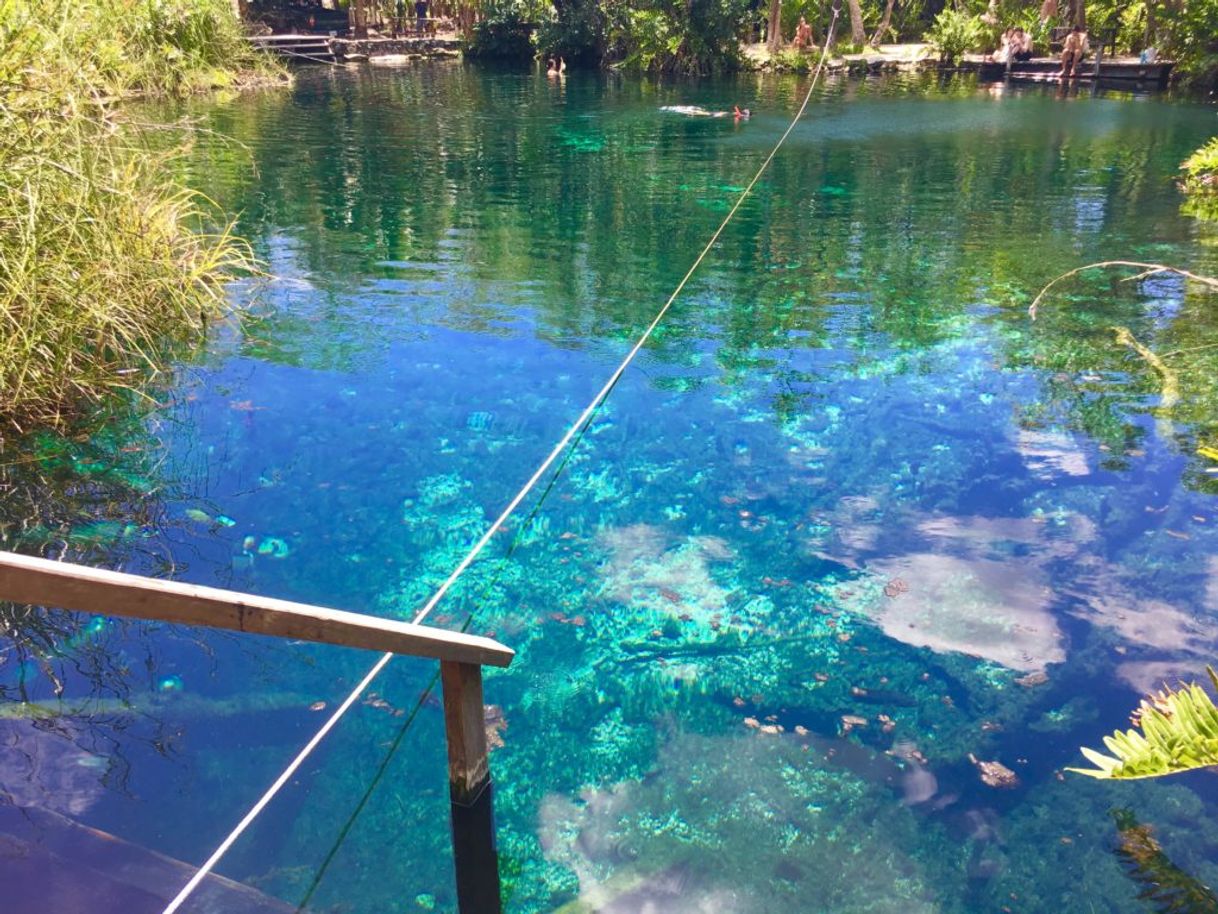 Place Cenote Cristal