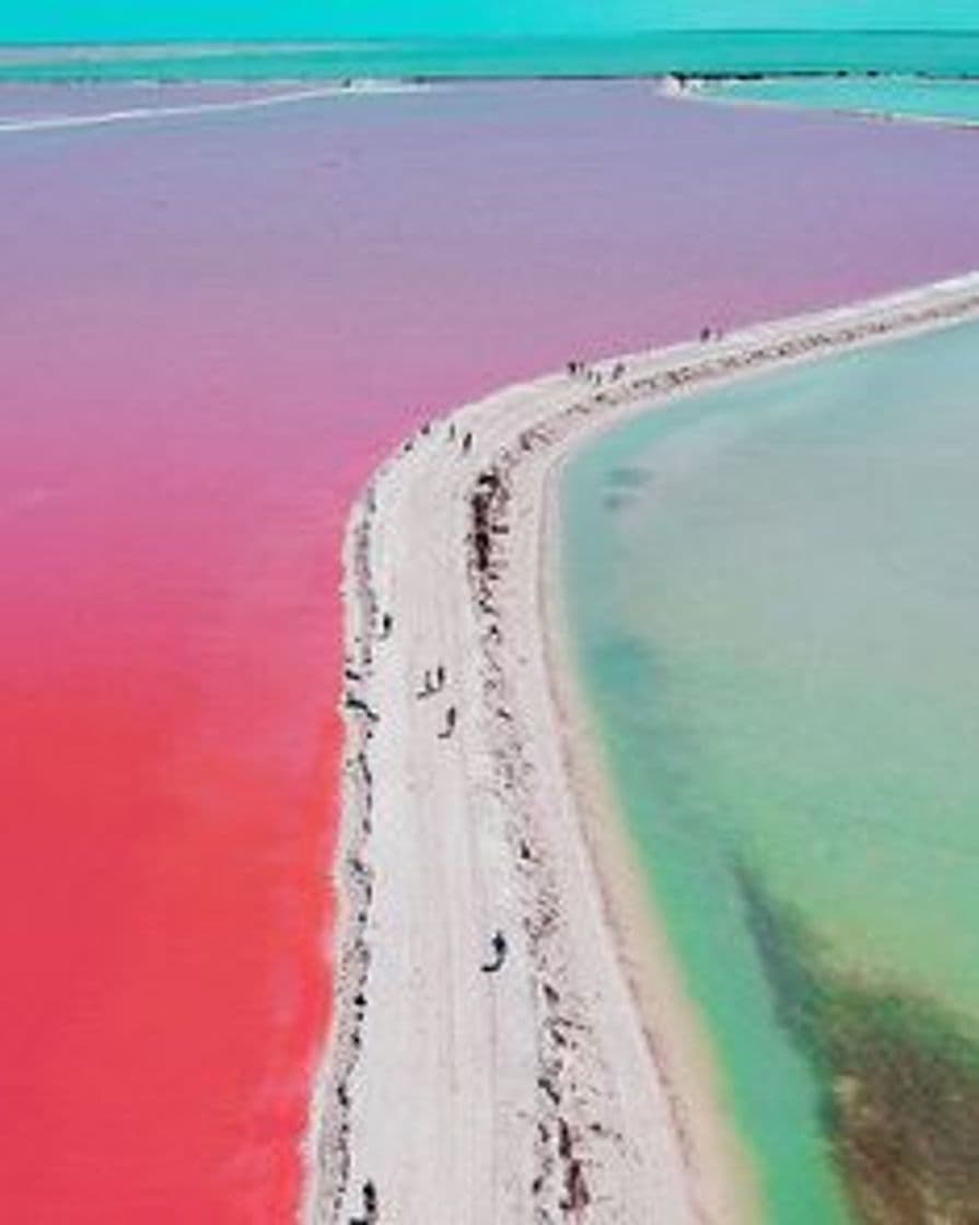 Lugar Las Coloradas Yucatan