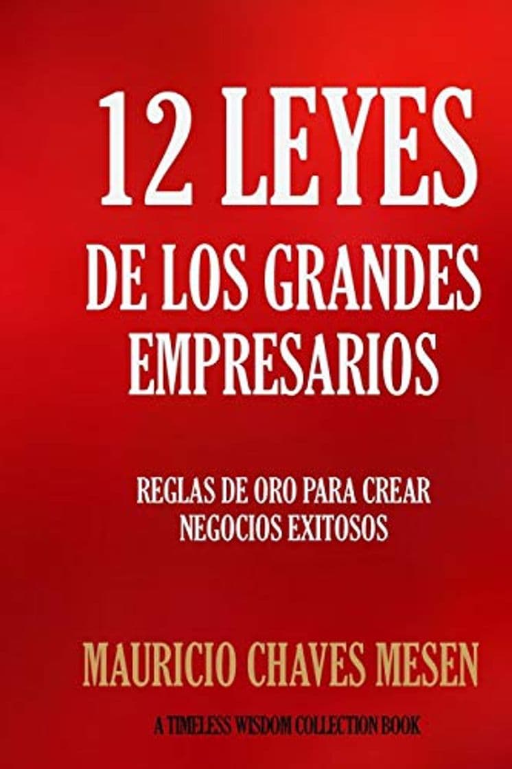 Book 12 Leyes de los Grandes Empresarios