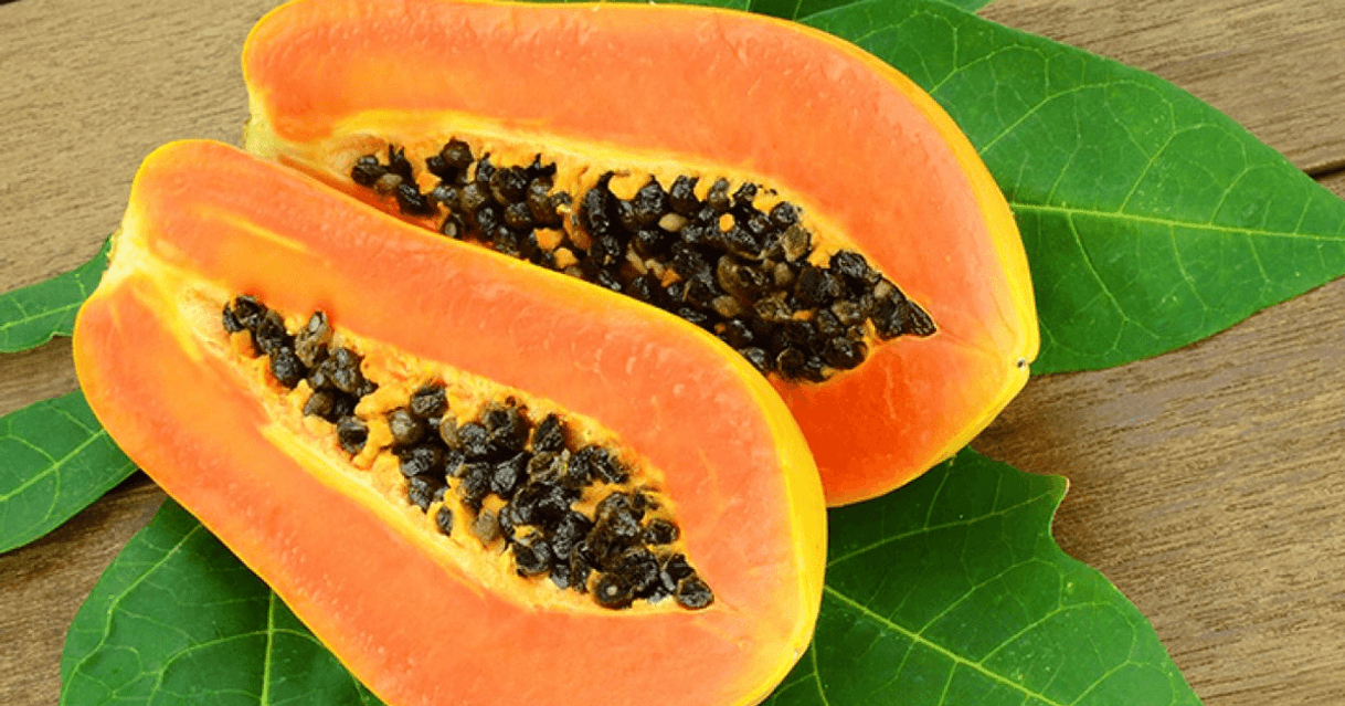 Moda Papaya