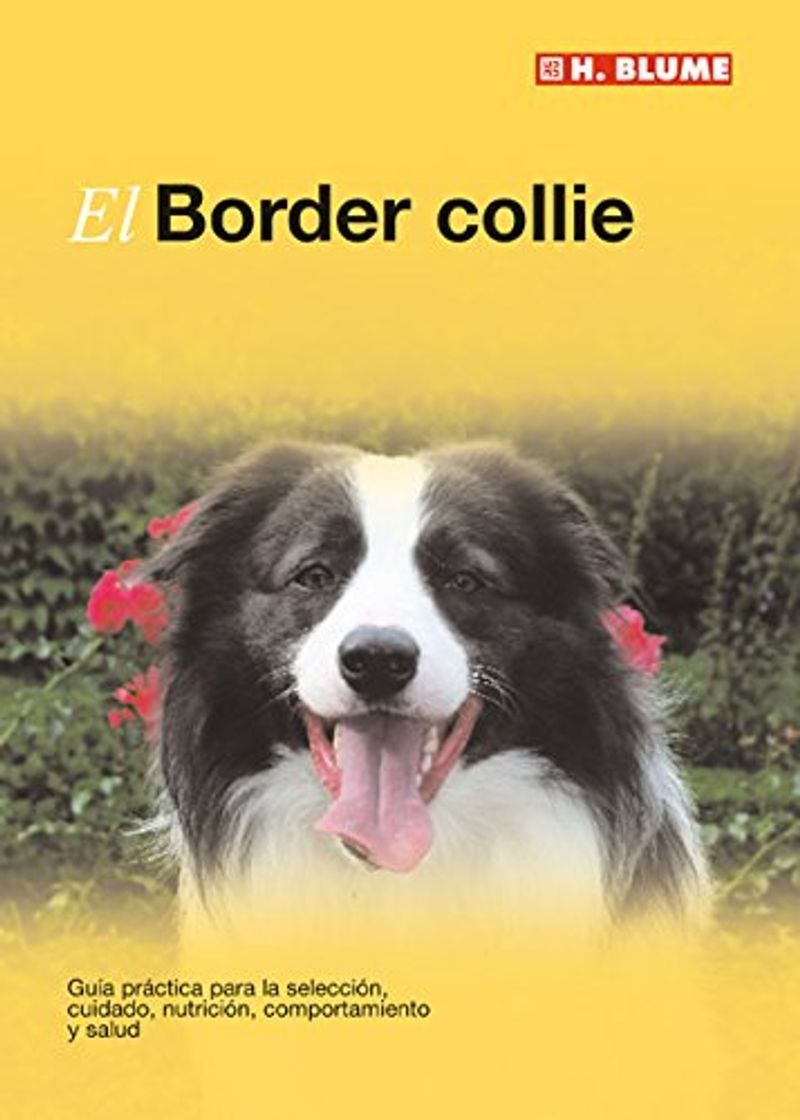 Book El Border collie: 16 (Mascotas)