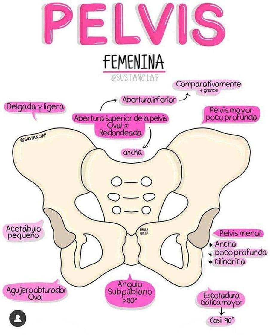 Fashion Pelvis femenina