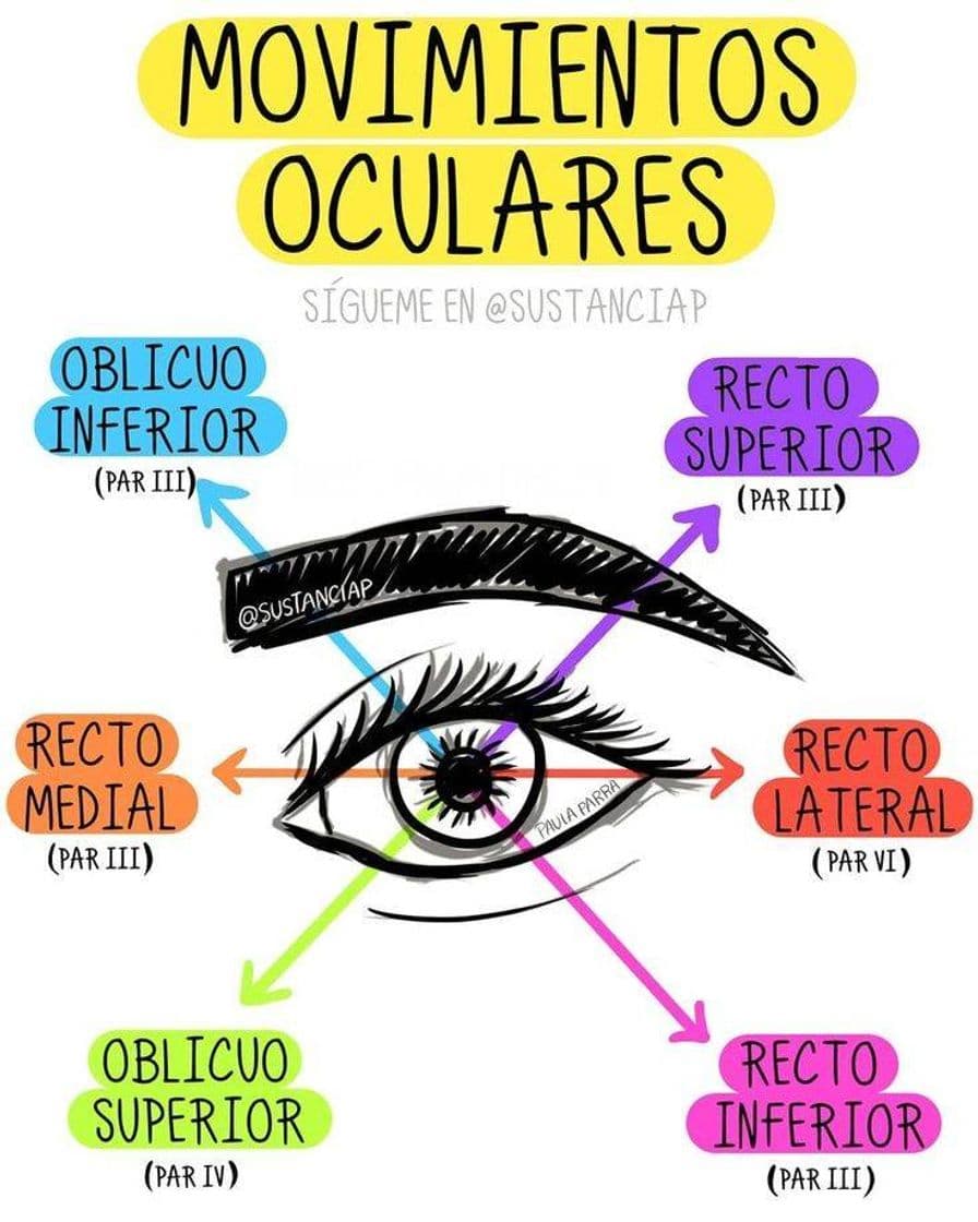 Fashion Movimientos oculares👀