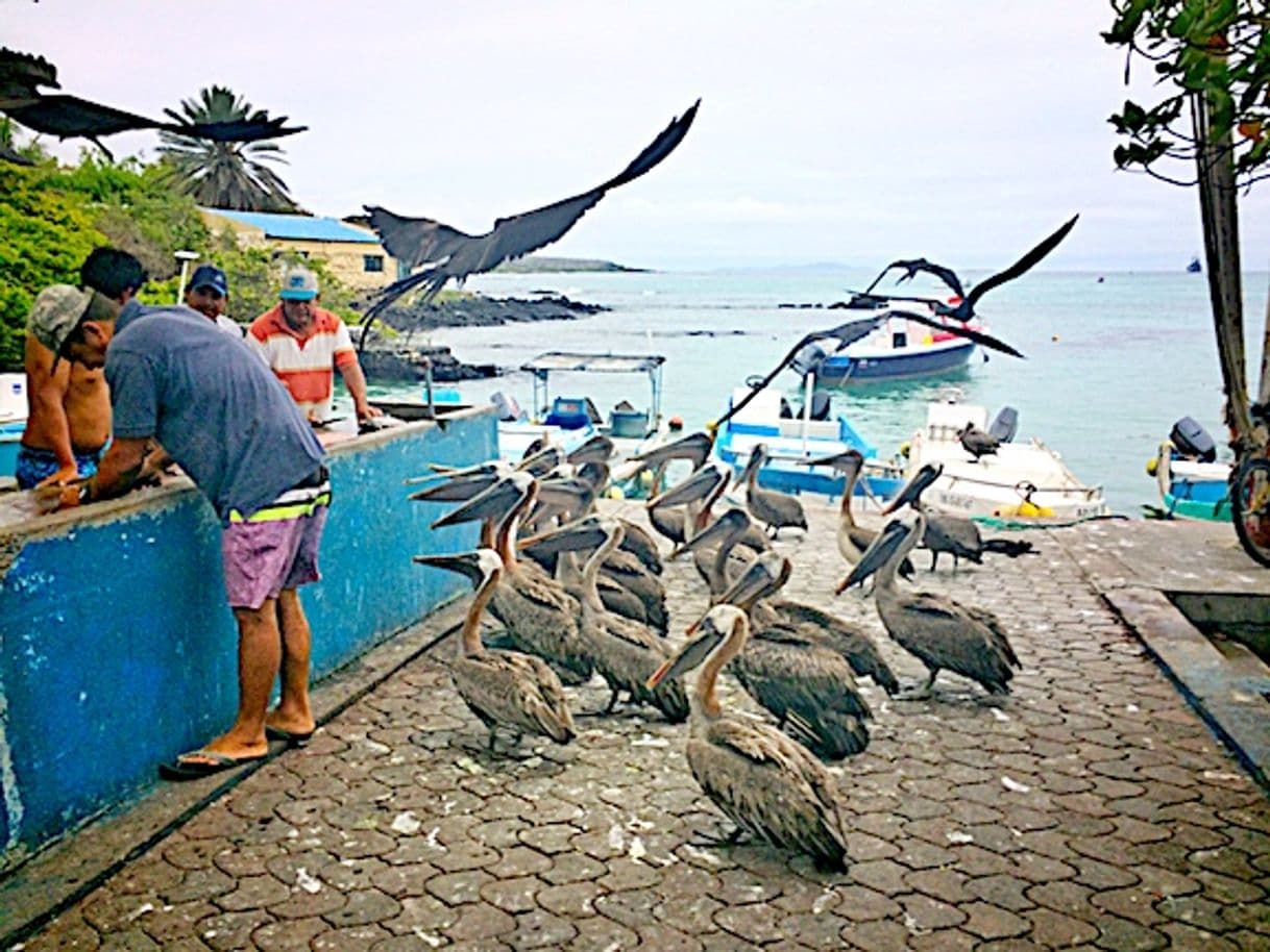 Place Galapagos Islands