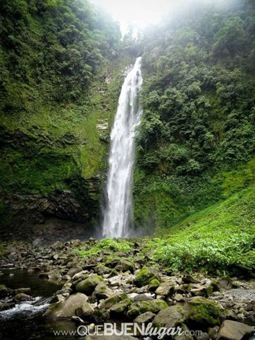 Lugar Catarata Rio Blanco