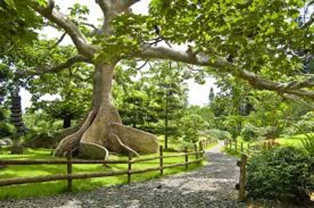 Place Jardín Botánico Nacional Dr. Rafael M. Moscoso