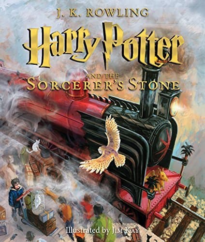 Libro Harry Potter and the Sorcerer's Stone: The Illustrated Edition