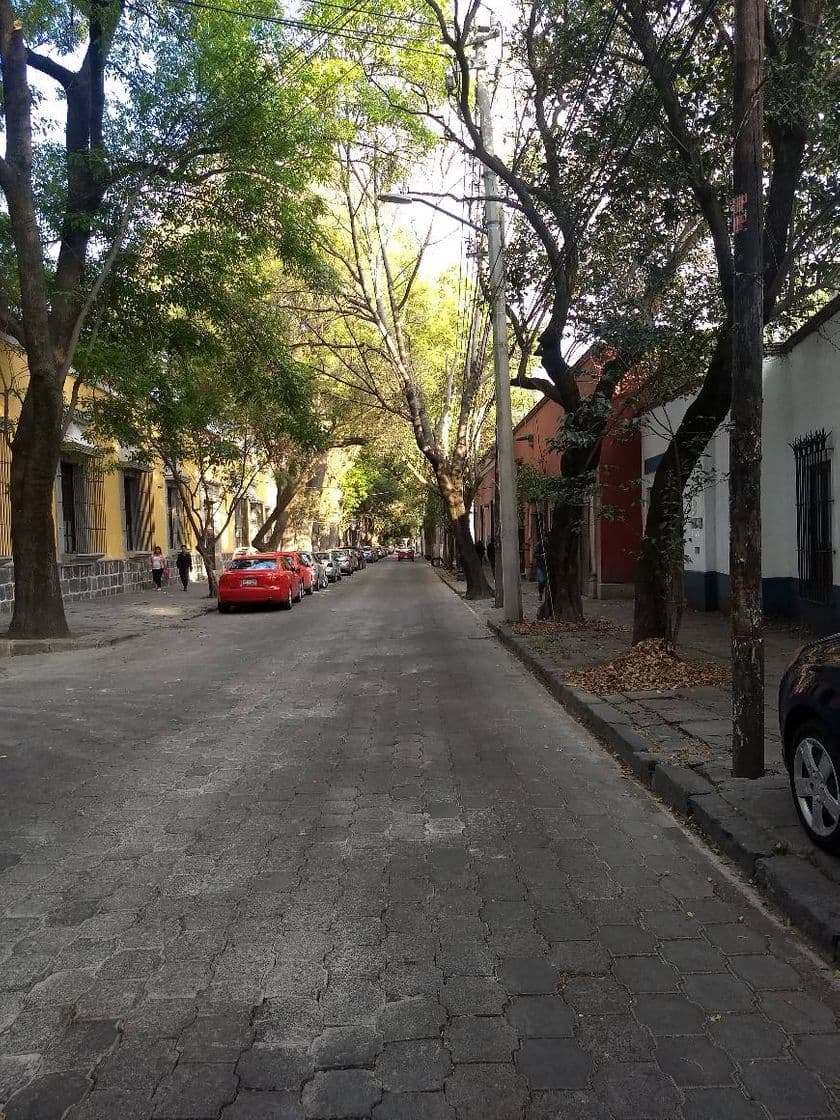 Lugar Coyoacán